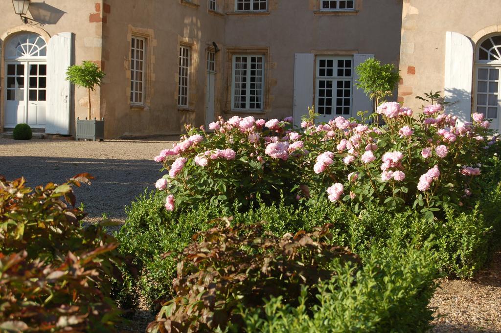 Chateau Du Riau Villeneuve-sur-Allier Exterior photo