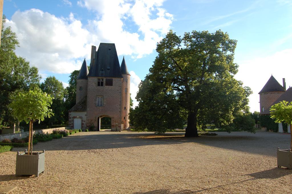 Chateau Du Riau Villeneuve-sur-Allier Exterior photo